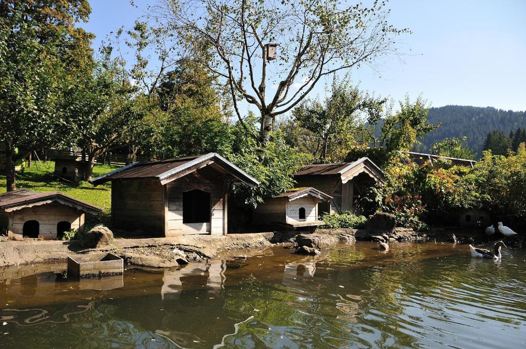 Bodenhof Ferienwohnungen Fieberbrunn Eksteriør billede